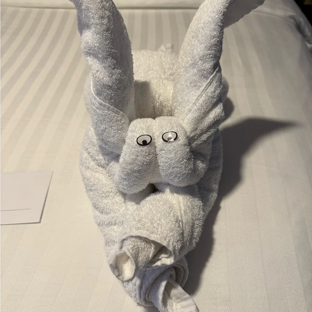 Not for Sale - Hold for Kayla         White Towel Animal with Googly Eyes